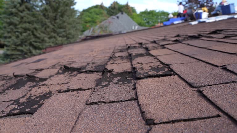 Best Asphalt Shingles Roofing  in West Unity, OH